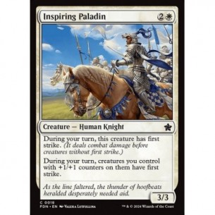 Inspiring Paladin