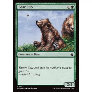 Bear Cub
