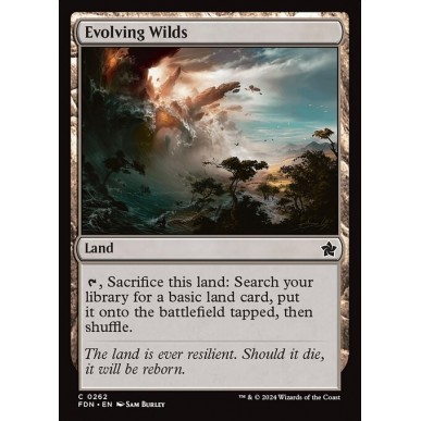 Evolving Wilds