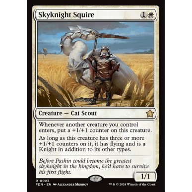 Skyknight Squire