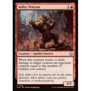 Volley Veteran