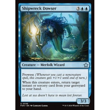 Shipwreck Dowser