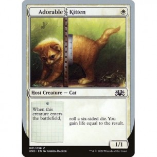 Adorable Kitten