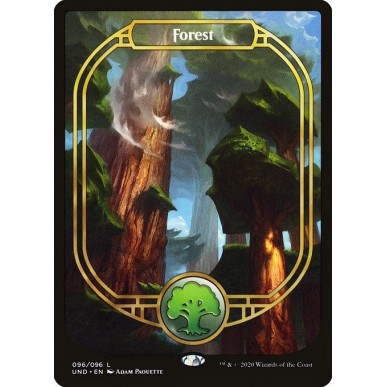 Forest