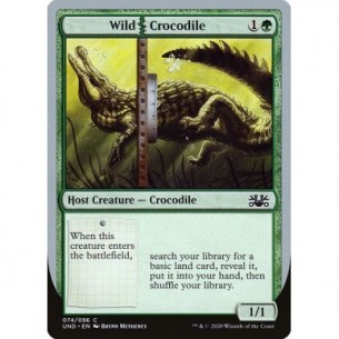 Wild Crocodile