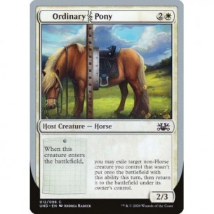 Ordinary Pony