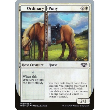 Ordinary Pony