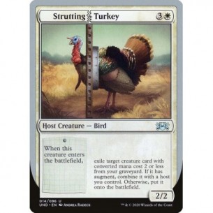 Strutting Turkey