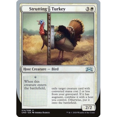 Strutting Turkey
