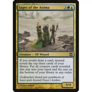 Saggi dell'Anima