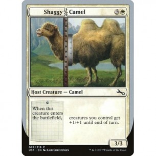 Shaggy Camel