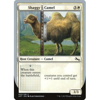 Shaggy Camel