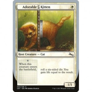 Adorable Kitten
