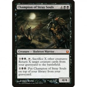 Champion of Stray Souls