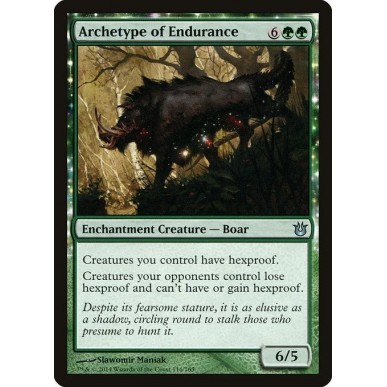 Archetype of Endurance