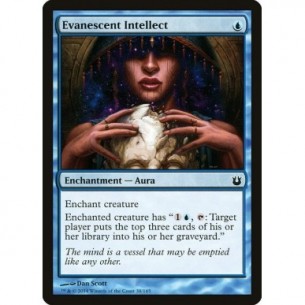 Evanescent Intellect