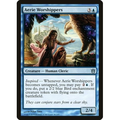Aerie Worshippers