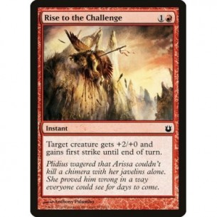 Rise to the Challenge