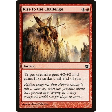 Rise to the Challenge