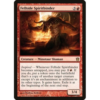 Felhide Spiritbinder