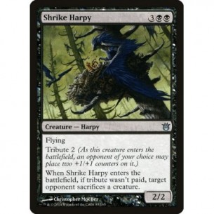Shrike Harpy