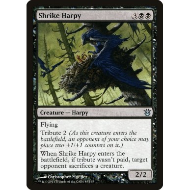 Shrike Harpy