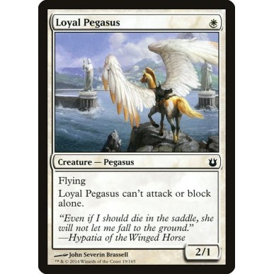 Loyal Pegasus