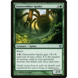 Graverobber Spider
