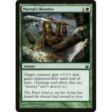 Mortal's Resolve