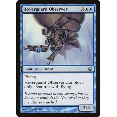 Osservatore Aerocustode