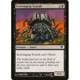 Scarabeo Sciacallo