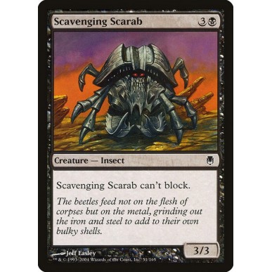Scavenging Scarab
