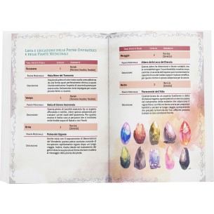 Ryuutama - Il Nido dei Draghi - Libro dell'Inverno 2