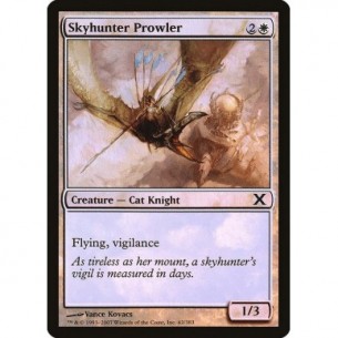 Skyhunter Prowler