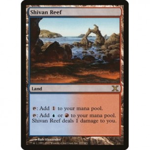 Barriera di Shiv