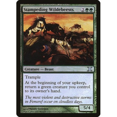 Stampeding Wildebeests