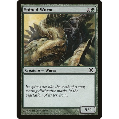 Spined Wurm