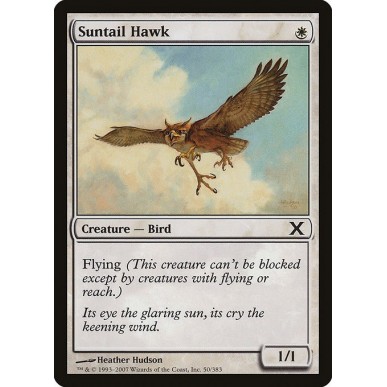 Suntail Hawk