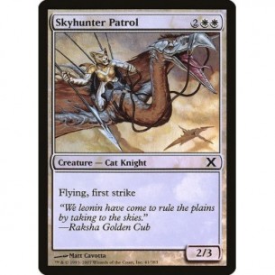 Skyhunter Patrol