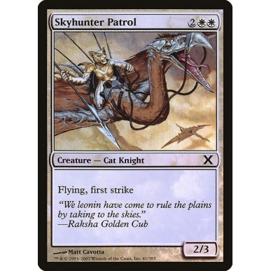 Skyhunter Patrol