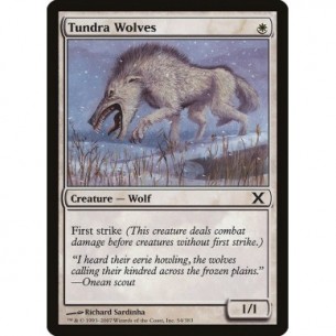 Lupi della Tundra