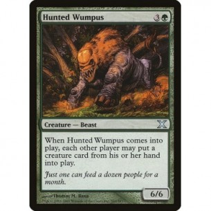 Wumpus Braccato