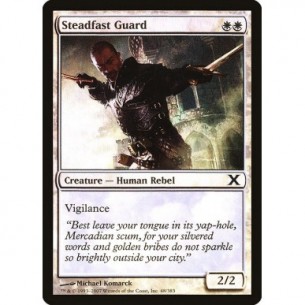Steadfast Guard