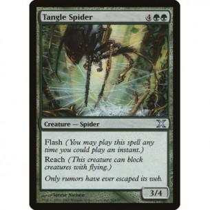 Tangle Spider