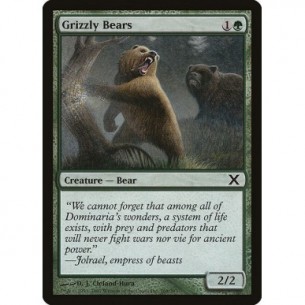 Grizzly Bears