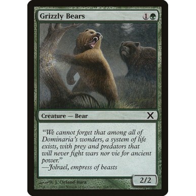 Orso Grizzly