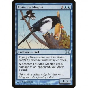 Thieving Magpie