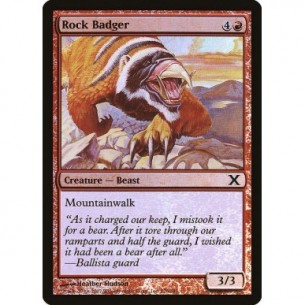 Rock Badger