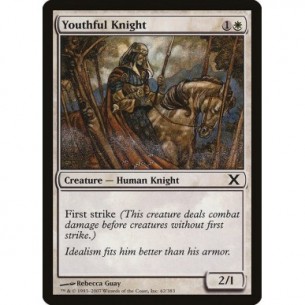 Youthful Knight