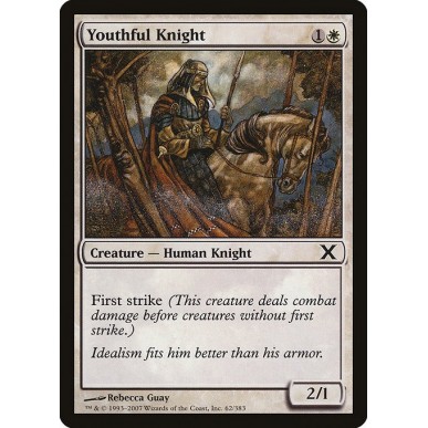 Youthful Knight